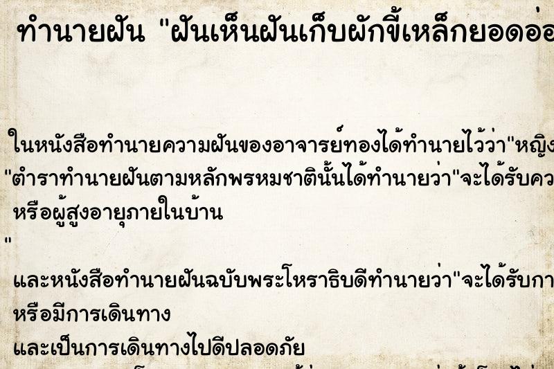 ทำนายฝันทำนายฝันฝันเห็นฝันเก็บผักขี้เหล็กยอดอ่อนๆเยอะมาก